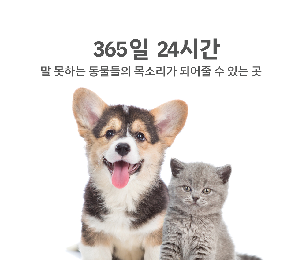 11월 이벤트