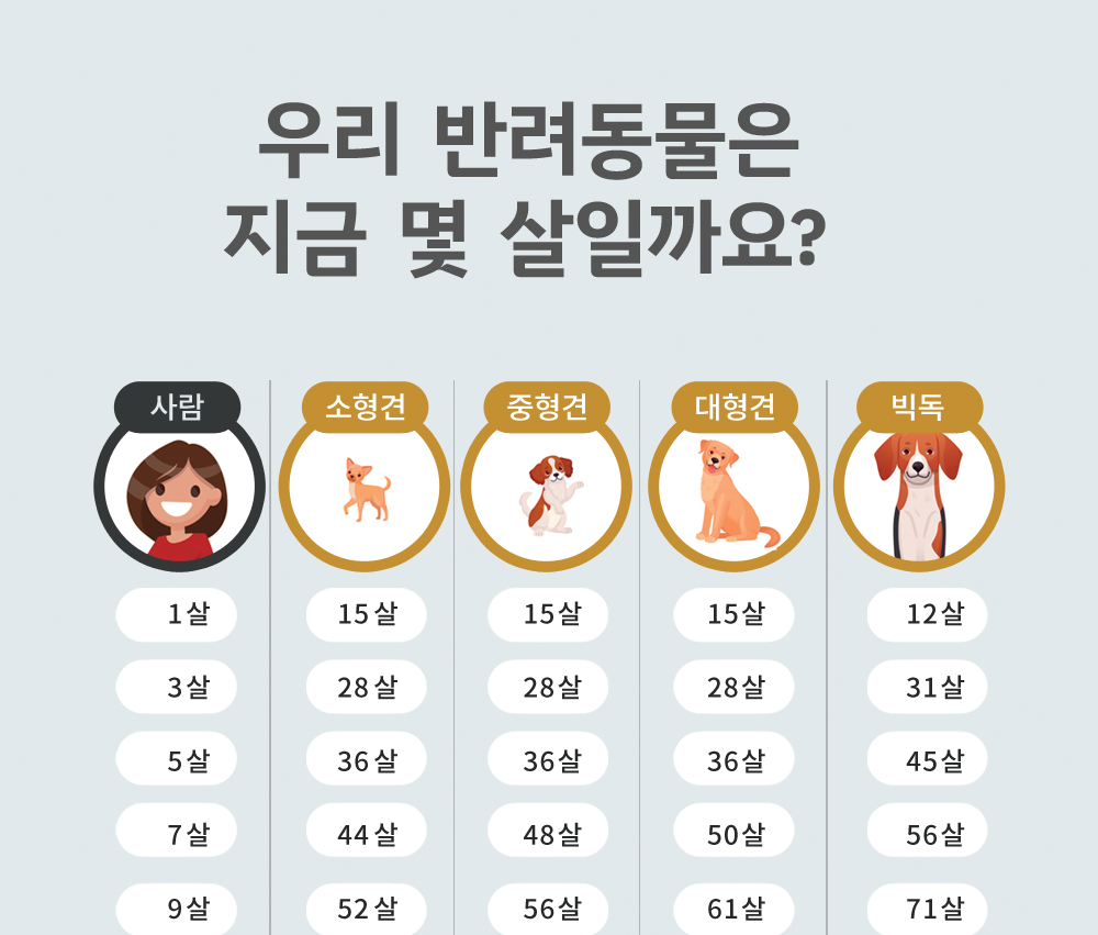 검진 이벤트